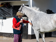 NH051025-16 - The Carpenter